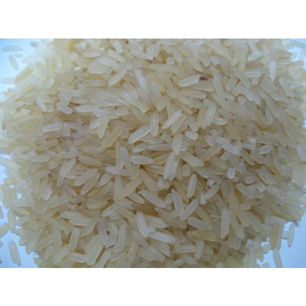 4p055jbjx_54